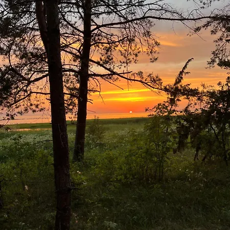 Naekimadala Mereaarse