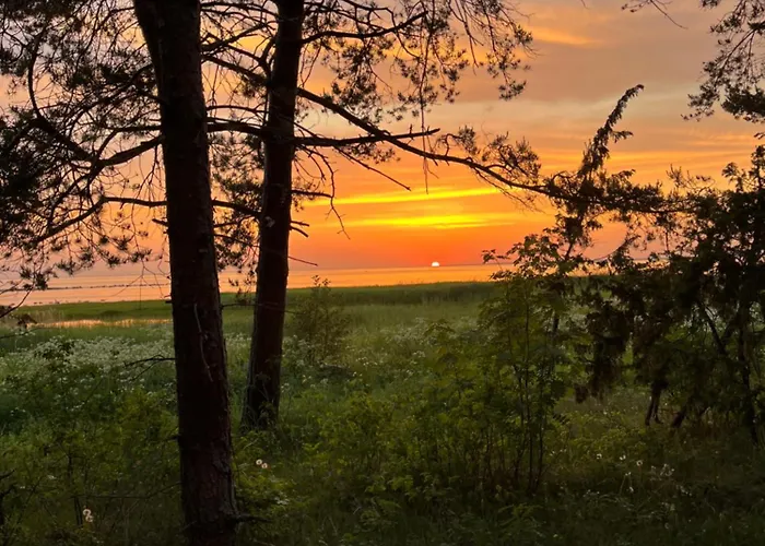 Naekimadala Mereaarse